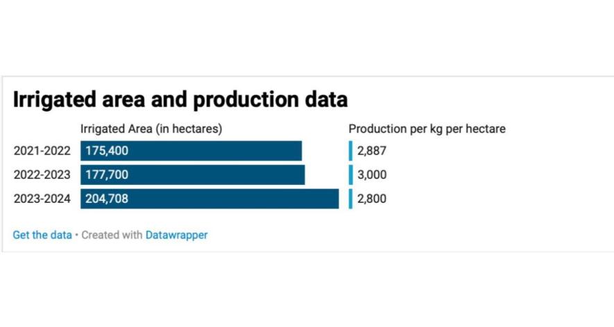 Data on irrigated area and production.