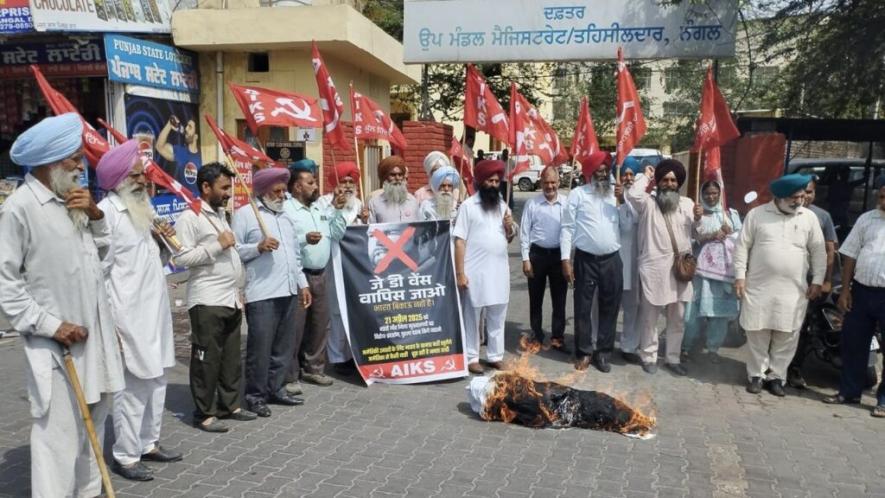 Farmers organized with AIKS and SKM rallied in cities across India against the visit of JD Vance. Photo: AIKS