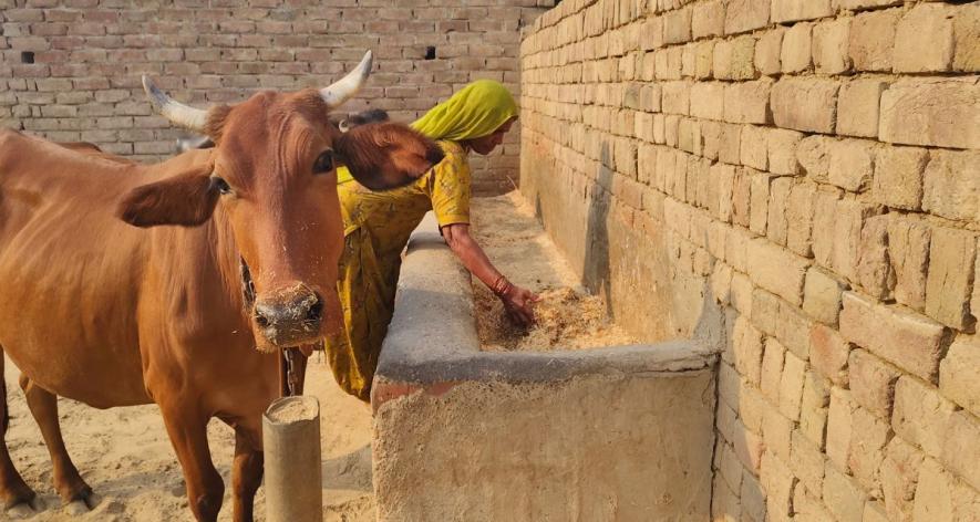 Farming is no longer a promise of prosperity (Photo - Amarpal Singh Verma, 101Reporters)