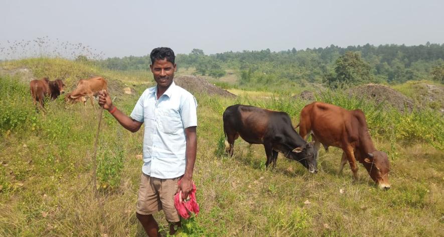 Those who depend on the forest for grazing or collecting firewood often show symptoms of coughing fits and eye irritation (Photo - Vishal Ranjan Sahu, 101Reporters).