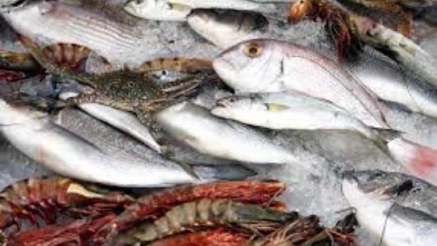 seafood