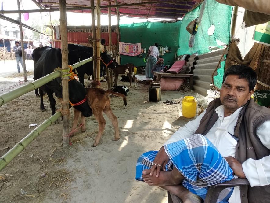 Asia's Largest Animal Fair Reels Under Agrarian Distress | NewsClick Asia's Largest Animal Fair Reels Under Agrarian Distress | NewsClick