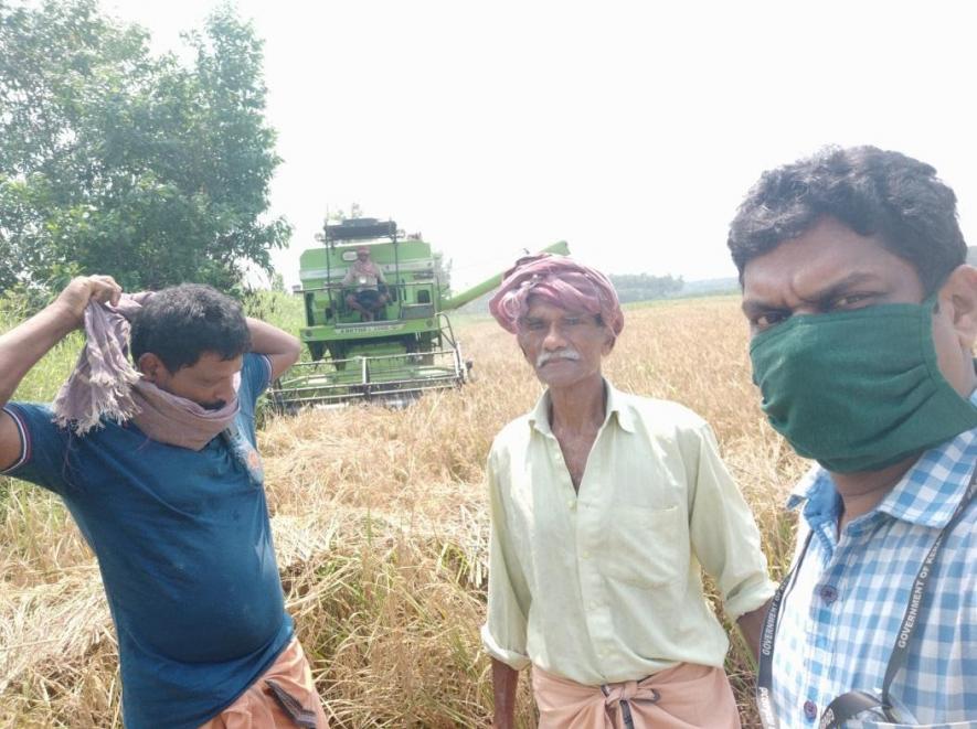 Kerala paddy harvesting during COVID-19 lockdown