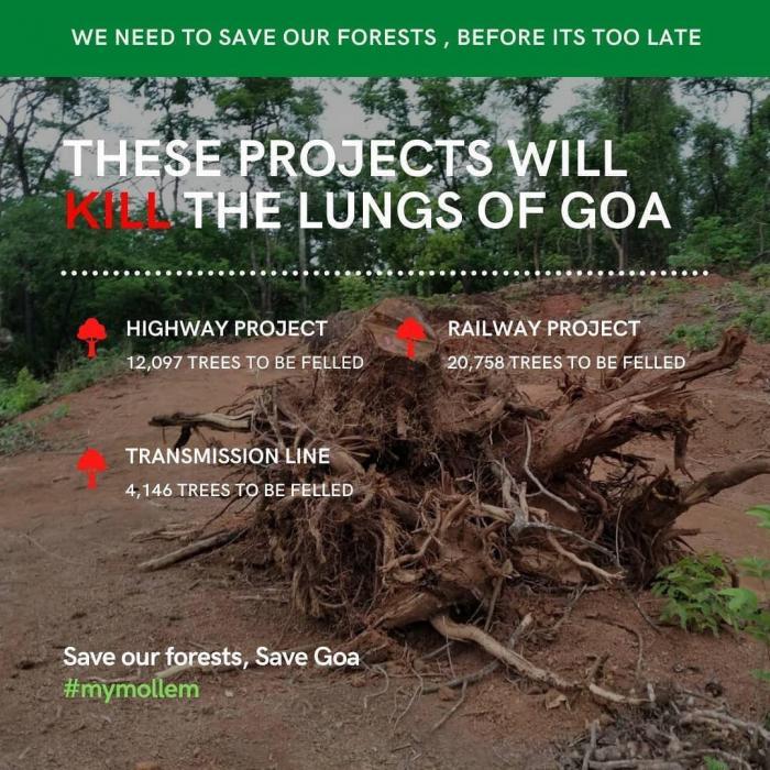 goa forest project