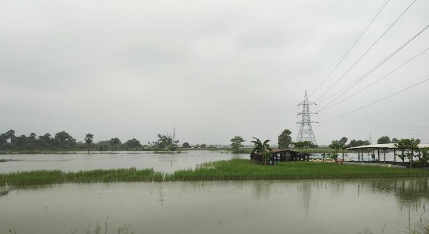 floodwaters inundate Paddy field in muzzaffarpur