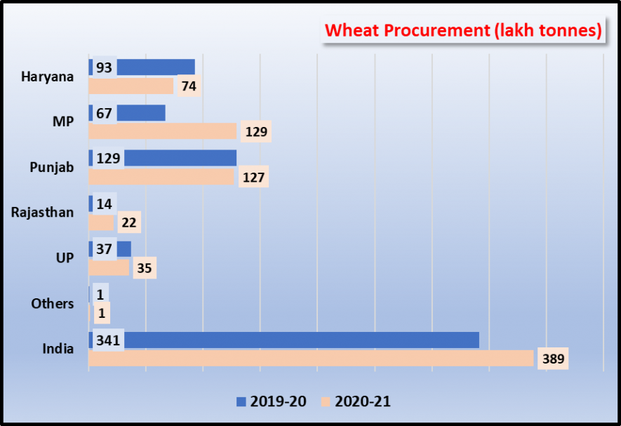 how madhya pradesh doubled wheat procurment 